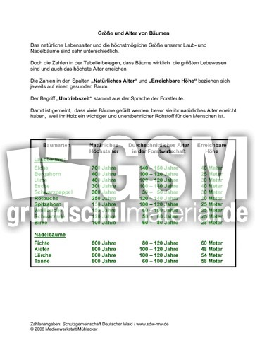 Grosse-und-Alter-von-Baeumen.pdf